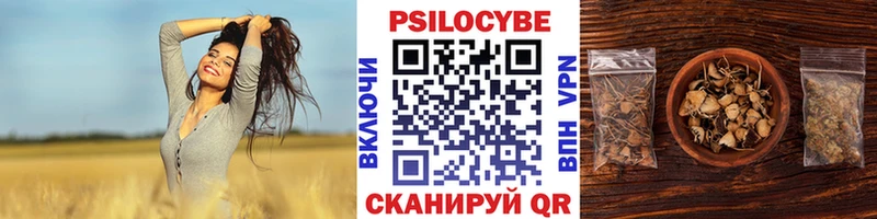 Галлюциногенные грибы Psilocybine cubensis Фролово